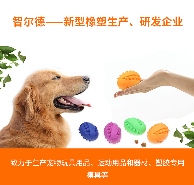 公司簡介（jiè）