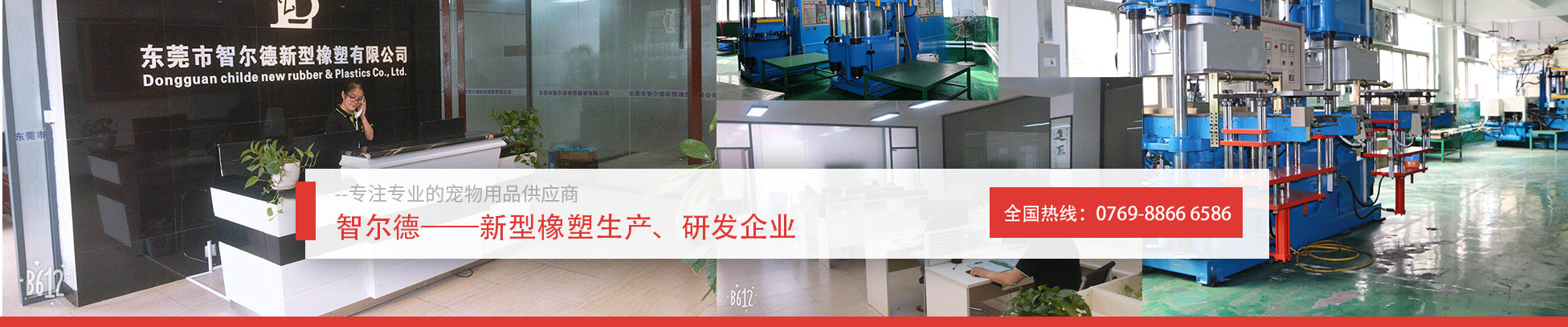 關於智爾德